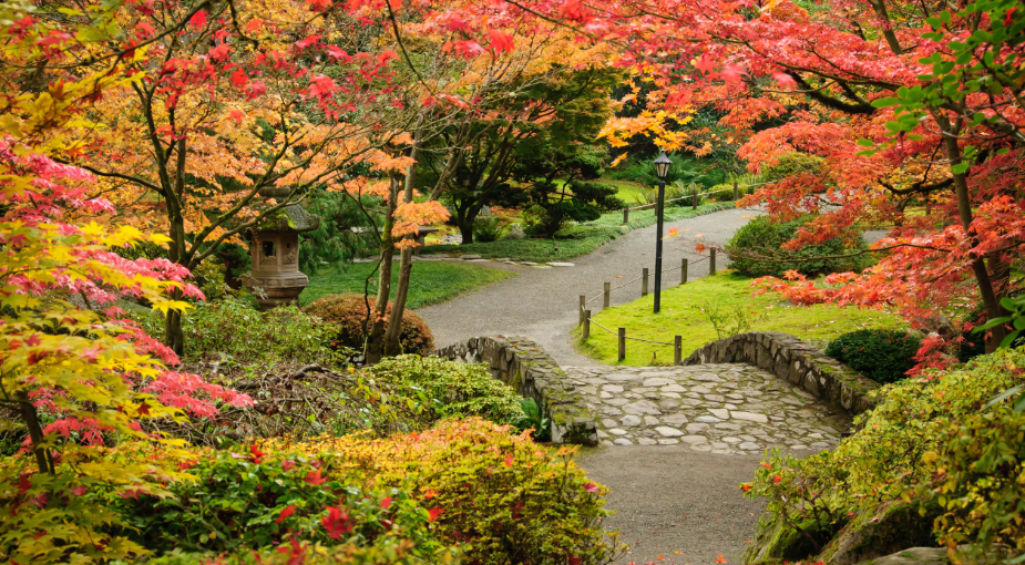 Washington Park Arboretum, United States